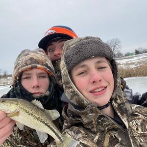 Meet your Posher, Carter